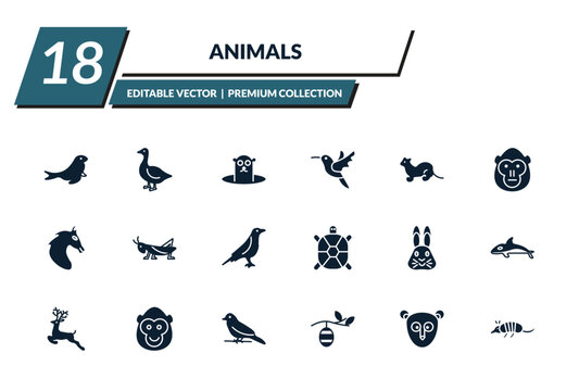 filled animals icons set - sea lion, goose, groundhog, humming bird. editable vector for web and mobile ui