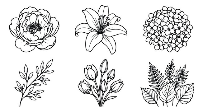 Minimalist botanical line art collection, hand drawn floral vector set with peony and lily, elegant black and white flower sketches for wedding stationery