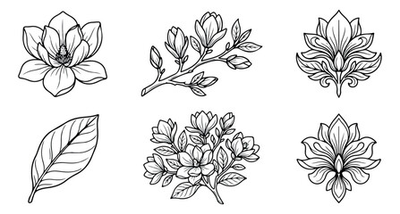 Vintage magnolia flower line art set, hand drawn botanical floral illustrations, 6 black and white vector elements for wedding invitations © Rehman