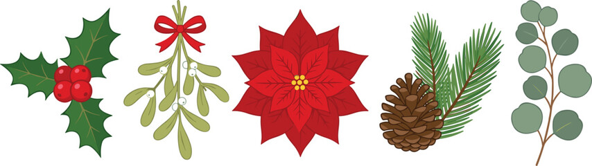 Christmas winter floral botanical vector element set with holly berries mistletoe poinsettia flower pinecone spruce branch and eucalyptus on white © Md. Al-Amin