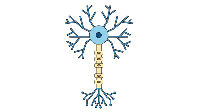 Detailed anatomical diagram of a human neuron cell showing myelin sheath and dendrites in soft colors.