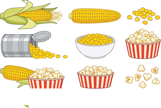 Corn and popcorn vector set featuring fresh sweetcorn cob peeled ear loose kernels canned maize boiled bowl and striped popcorn buckets
