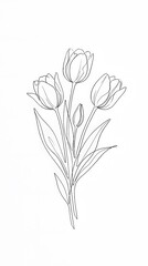 Obraz premium Single line drawing of beautiful tulip flowers bouquet isolated on white background art.