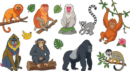 Diverse wild monkey and ape species icon set including gorilla, orangutan, chimpanzee, mandrill, lemur, and gibbon for wildlife education vector designs © Md. Al-Amin