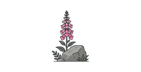 Foxglove Flower and Stone Vector Illustration © Kill