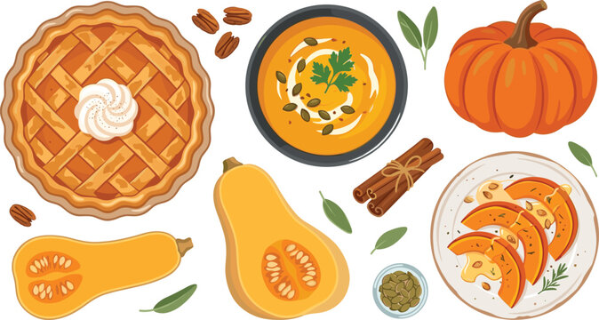 Autumn pumpkin food vector collection with lattice pie cream soup squash slices seeds cinnamon and butternut squash for thanksgiving dinner designs