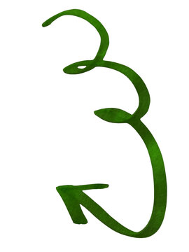 Hand drawn green spiral arrow pointing down as a simple graphic element