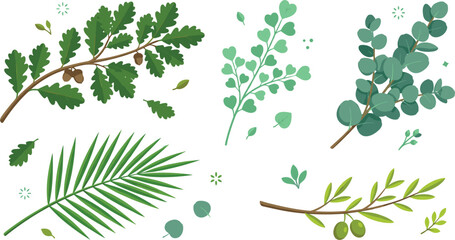 Obraz premium Botanical leaf and branch vector set featuring oak with acorns, eucalyptus, olive branch with olives, and palm frond for natural wedding invitations and cosmetic packaging designs