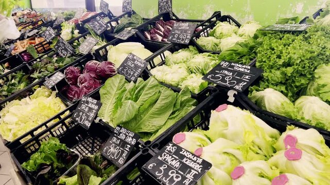 Different types of fresh lettuce and leafy greens displayed in crates at a supermarket stall, with handwritten price tags in euro, showing a customer choosing products in the background