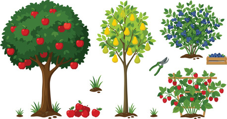 Garden fruit trees and berry bushes vector set with apple, pear, blueberry, raspberry, shears, and harvest elements for agriculture and farming concepts © Mst