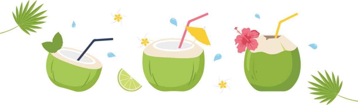 Tropical green coconut cocktail drink vector icon set with drinking straws, hibiscus flower, lime slice, and palm leaves isolated on white background