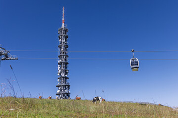 Obraz premium A telecom tower and gondola cabin balance across clear blue sky above grazing cattle, including one black-white cow in a green mountain meadow.