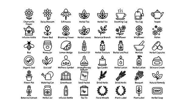 Botanical Chamomile Line Icon Set Featuring Daisy Flowers Echinacea Herbal Tea 64x64 Pixel Perfect Vector
