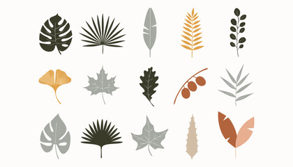 Set of 15 diverse autumn and tropical plant leaves: monstera, palm, fern, ginkgo, maple, and berry branch © Sadhin07