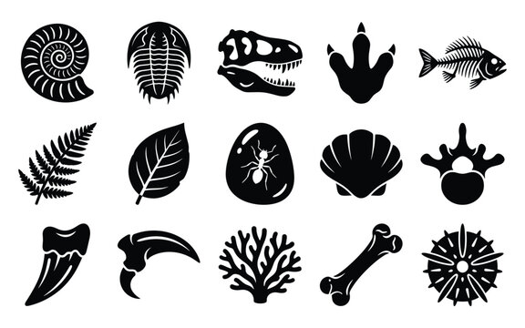 Fossil Icons Collection - Prehistoric Animals, Dinosaur Bones and Ancient Nature Vector Set
