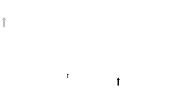 Seamless motion design of black corporate arrows moving up and down, dynamic infographic pointers element, minimalist abstract geometric transition asset isolated on white background. 4k video