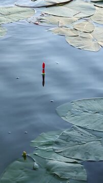 A red and black fishing float bobs gently among green lily pads on a rippling pond, drifting slowly across the water surface as small waves spread steadily in natural daylight.