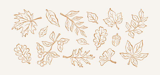 Obraz premium Set of hand-drawn doodle autumn leaves, berries and branches