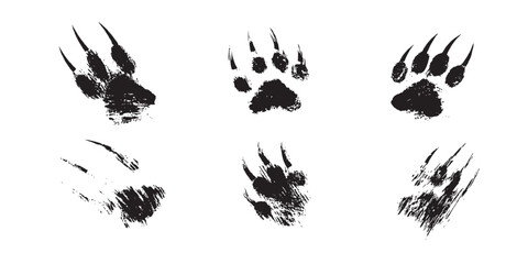 Grunge black animal claw scratch marks and bear paw prints vector illustration on white background. © Artful