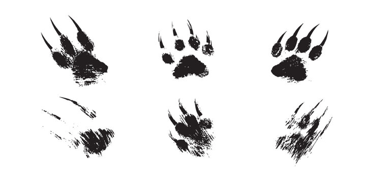 Grunge black animal claw scratch marks and bear paw prints vector illustration on white background.
