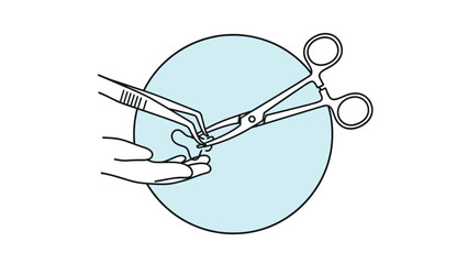 Obraz premium Line illustration showing hands using medical forceps and tweezers to hold a small bone or specimen on a petri dish.