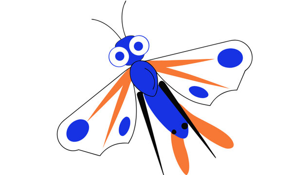 butterfly on a white background