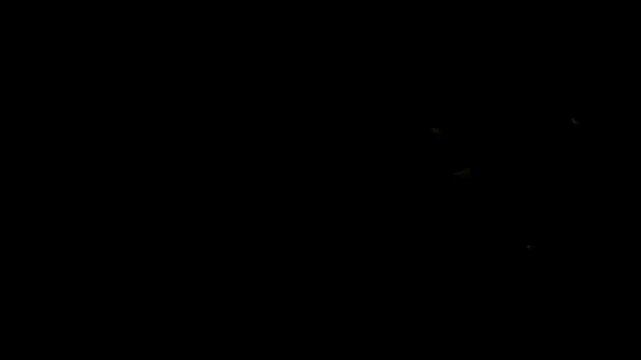 Glitter line transition animation, 2d glitter stars line animation on black screen background. shining twinkle effect animation. shining starlight path and elegant transition effect 4k.