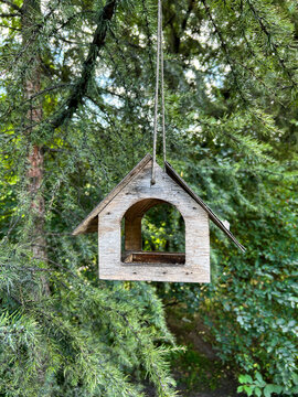 Wooden bird feeder on the tree in the forest. Close-up.