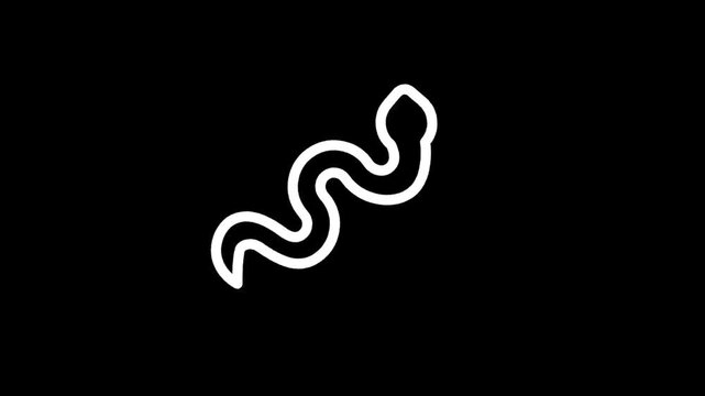 Simple white snake icon on a black background, minimalist and modern design
