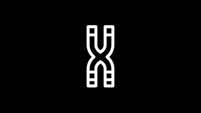 Iconic representation of a chromosome, symbolizing genetics and biological research