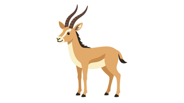 Slender gazelle standing in profile view isolated on white.