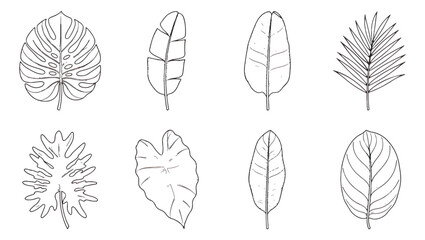 Minimalist tropical leaf line art collection, 8 black and white botanical vector illustrations, hand drawn monstera and palm foliage icons © MUHAMMAD