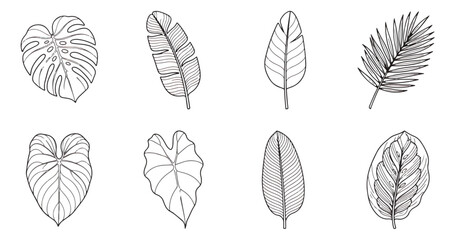 Minimalist tropical leaf line art collection, 8 black and white botanical vector icons, hand drawn exotic monstera and palm foliage set for logo design © MUHAMMAD