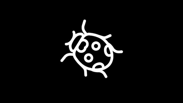 Simple white line drawing of a ladybug on a black background