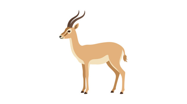Elegant gazelle standing on white background vector illustration.