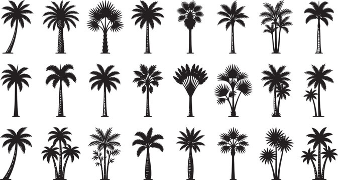 Collection of various black palm tree silhouettes isolated on a plain white background for design