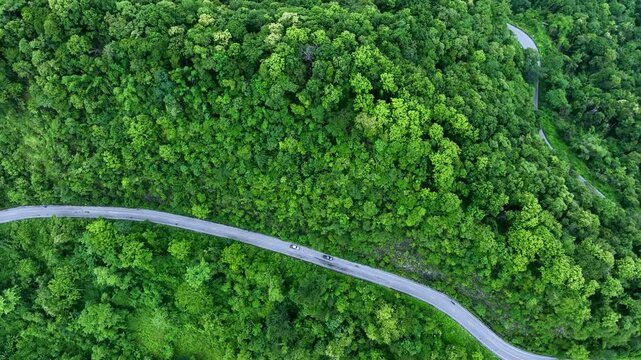 Aerial forest road with car creating abstract background for electric vehicle, ESG, sustainability and green investment business concepts.