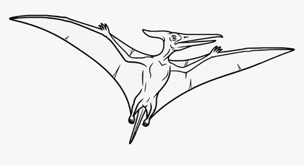 Elegant Pterosaur Sketch in Flight. © Anis