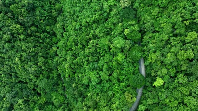 Sustainable Infrastructure Through Dense Forest for ESG Annual Report Background
