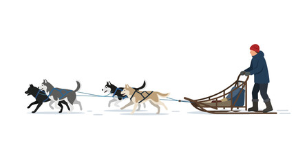 Dog sled team with musher traveling over white snow. © heri