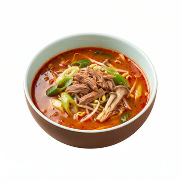 Spicy Beef Soup Yukgaejang