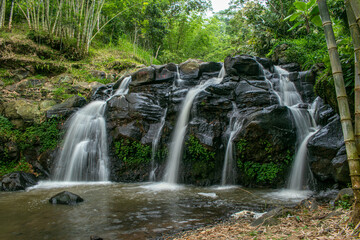 A scenic tropical waterfall cascading over dark volcanic rocks, surrounded by lush green bamboo and dense rainforest vegetation in Indonesia. Captured with a long exposure technique, the silky flowing © Eriec