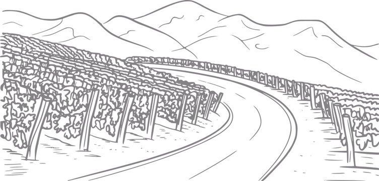 Un dibujo a mano de una carretera sinuosa pasando a trav&eacute;s de un vi&ntilde;edo esc&eacute;nico con monta&ntilde;as distantes