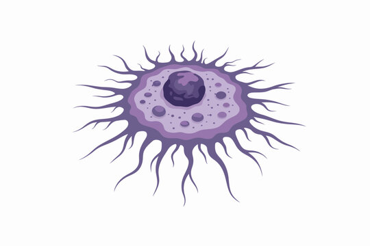 Una imagen detallada de una c&eacute;lula biol&oacute;gica con un n&uacute;cleo central y proyecciones radiantes tipo tent&aacute;culo