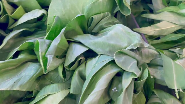 Fresh green vegetables displayed at local market