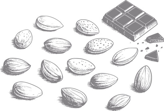 Dibujo a mano de almendras org&aacute;nicas y una tableta de chocolate negro aislado sobre un fondo blanco