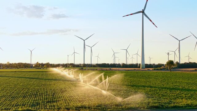 Wind turbines and agricultural irrigation system in green field. Sprinklers water green crops under a clear sky during late afternoon daylight.