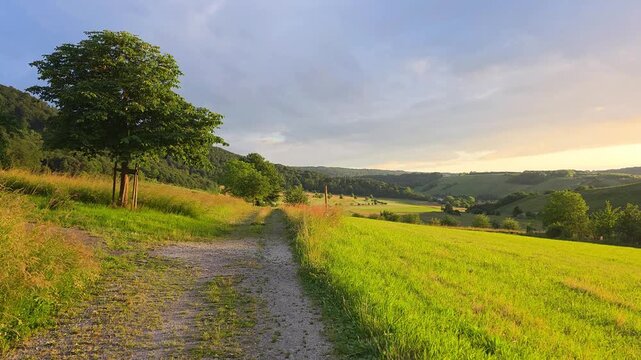 Summer sunset view over beautiful rolling fields and hills of the Mosel region of Germany. Walking motion down a dirt road.