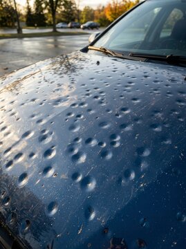 A car hood with numerous dents from hail damage. The surface is wet, reflecting the sky and trees, suggesting recent weather activity.
