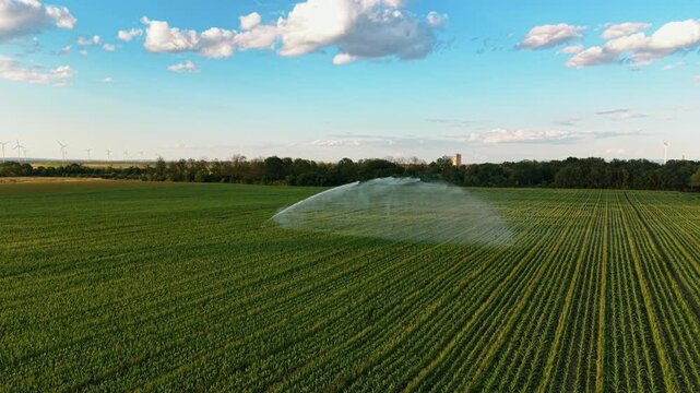 Aerial view of agricultural field irrigation system. A large sprinkler sprays water over parallel rows of green crops under a blue sky with scattered clouds.